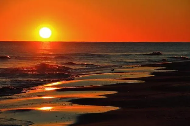 Alabama Sands 9 By Albvr - Walk To Beach, Pool, And Little Lagoon! * Gulf Shores