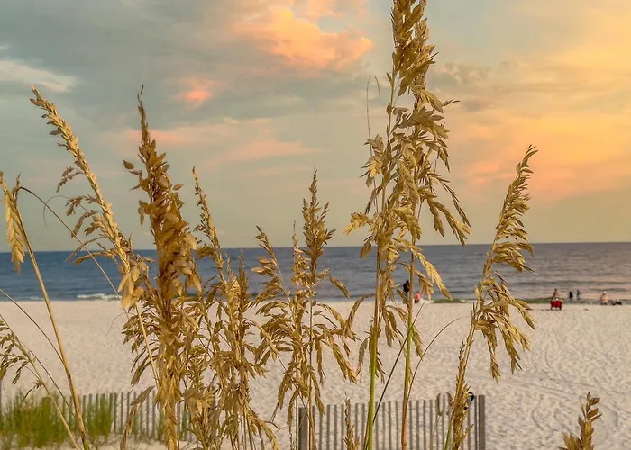 Alabama Sands 9 By Albvr - Walk To Beach, Pool, And Little Lagoon! Gulf Shores